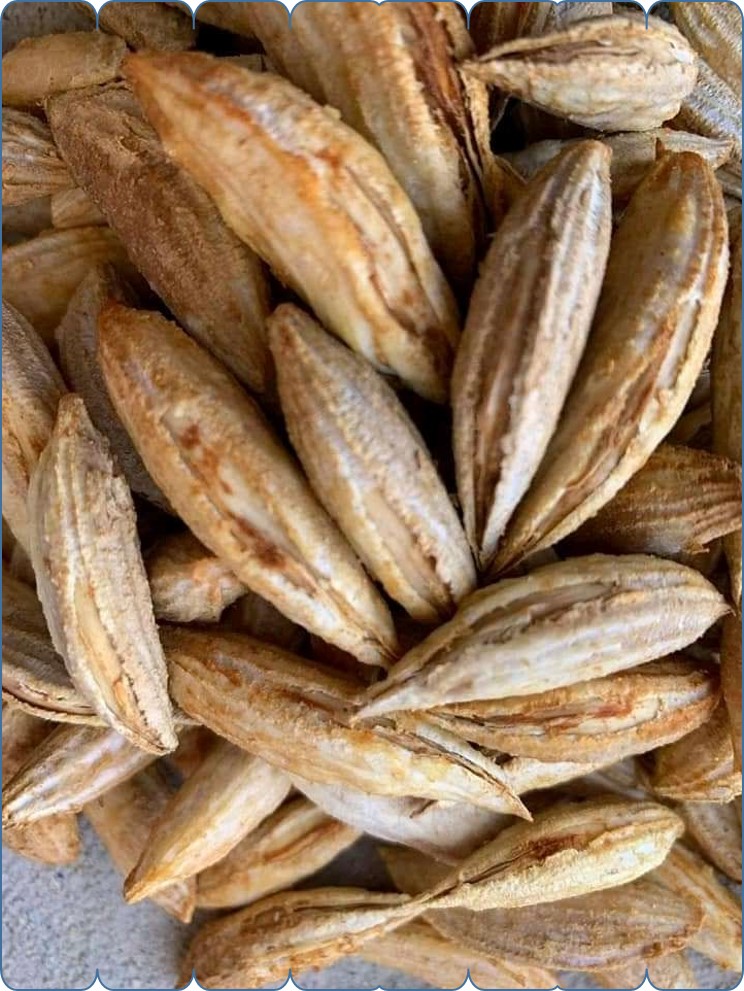 Afghanistan almonds